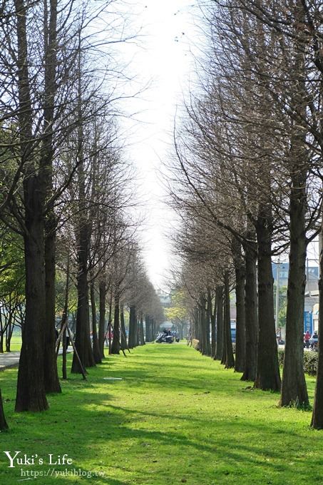 桃園景點【玉山公園】落羽松大道×黑熊溜滑梯～大草皮野餐親子景點 - yuki.tw