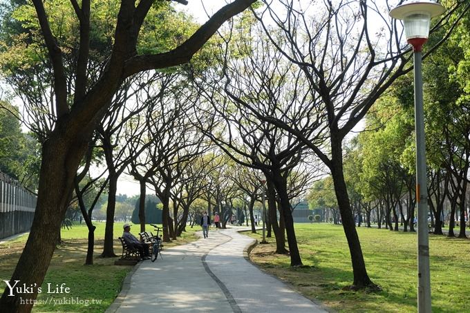 桃園景點【玉山公園】落羽松大道×黑熊溜滑梯～大草皮野餐親子景點 - yuki.tw