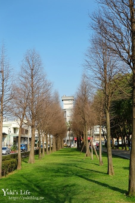 桃園景點【玉山公園】落羽松大道×黑熊溜滑梯～大草皮野餐親子景點 - yuki.tw