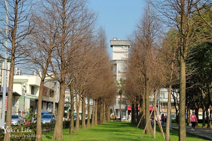 桃園景點【玉山公園】落羽松大道×黑熊溜滑梯～大草皮野餐親子景點 - yuki.tw