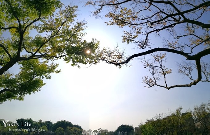 桃園景點【玉山公園】落羽松大道×黑熊溜滑梯～大草皮野餐親子景點 - yuki.tw