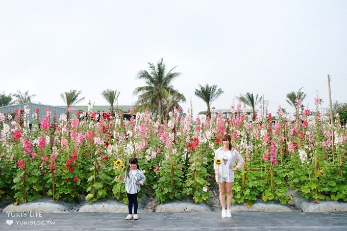 彰化景點【琉璃仙境】IG美拍×夢幻歐風婚紗藝廊×花田浪漫約會好去處 - yuki.tw