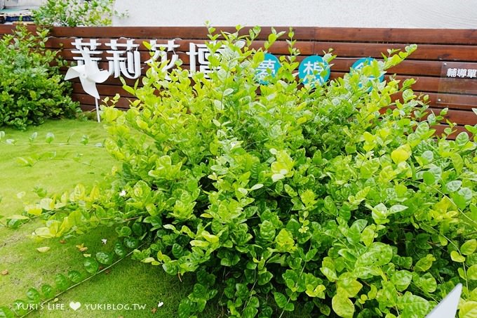 彰化免費景點【茉莉花壇夢想館】貓咪彩色歐風童話村、老穀倉茉莉花主題館 - yuki.tw