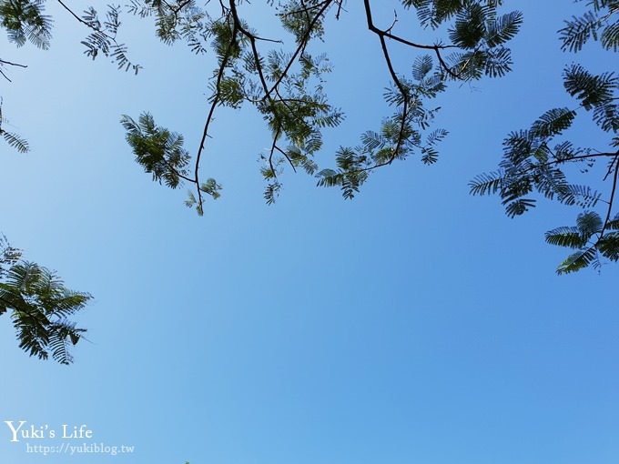 台北景點【華山文創園區大草原】免費親子景點 野餐好去處(台北捷運忠孝新生站) - yuki.tw