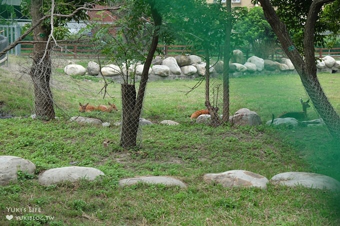 彰化親子免費景點【鹿港生態公園】梅花鹿新家×小鹿餵食體驗(假日整點開放時間表) - yuki.tw