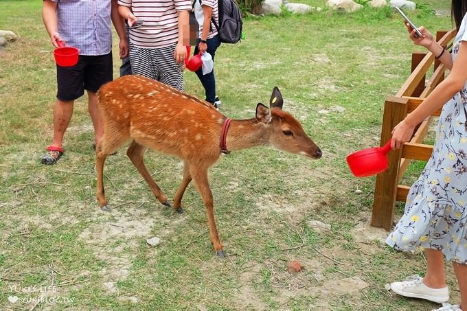 彰化親子免費景點【鹿港生態公園】梅花鹿新家×小鹿餵食體驗(假日整點開放時間表) - yuki.tw