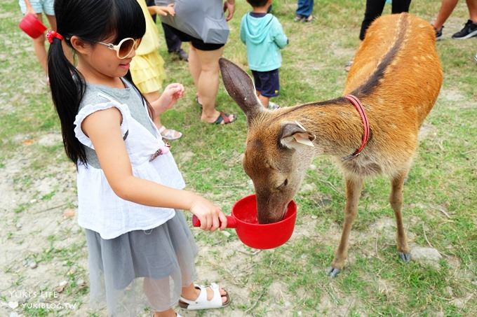 彰化親子免費景點【鹿港生態公園】梅花鹿新家×小鹿餵食體驗(假日整點開放時間表) - yuki.tw