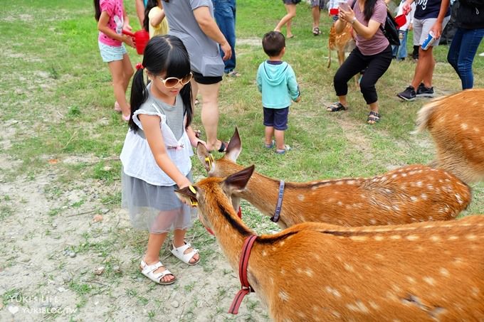 彰化親子免費景點【鹿港生態公園】梅花鹿新家×小鹿餵食體驗(假日整點開放時間表) - yuki.tw