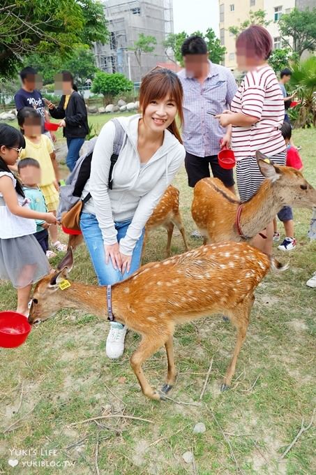 彰化親子免費景點【鹿港生態公園】梅花鹿新家×小鹿餵食體驗(假日整點開放時間表) - yuki.tw