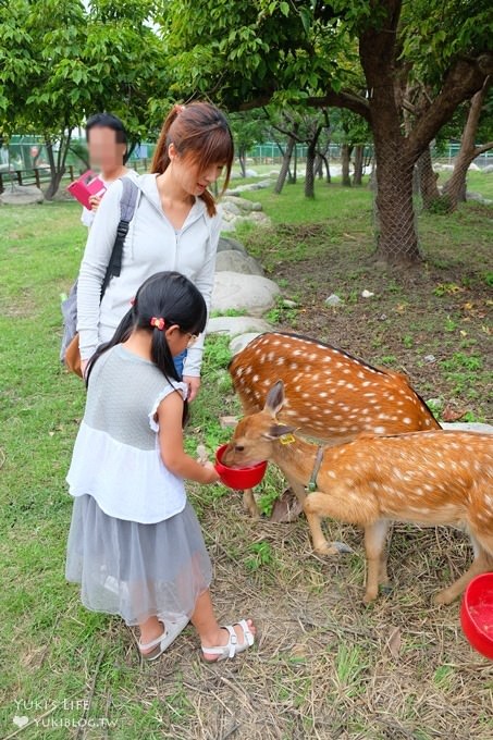 彰化親子免費景點【鹿港生態公園】梅花鹿新家×小鹿餵食體驗(假日整點開放時間表) - yuki.tw