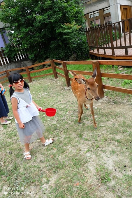 彰化親子免費景點【鹿港生態公園】梅花鹿新家×小鹿餵食體驗(假日整點開放時間表) - yuki.tw