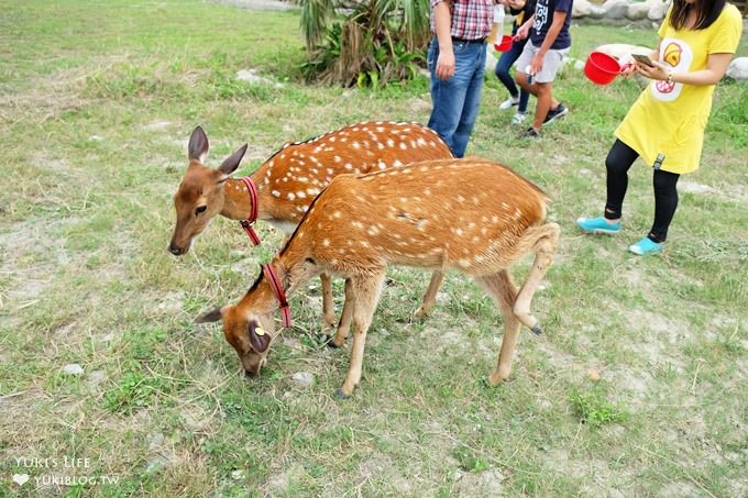 彰化親子免費景點【鹿港生態公園】梅花鹿新家×小鹿餵食體驗(假日整點開放時間表) - yuki.tw