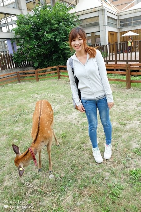 彰化親子免費景點【鹿港生態公園】梅花鹿新家×小鹿餵食體驗(假日整點開放時間表) - yuki.tw