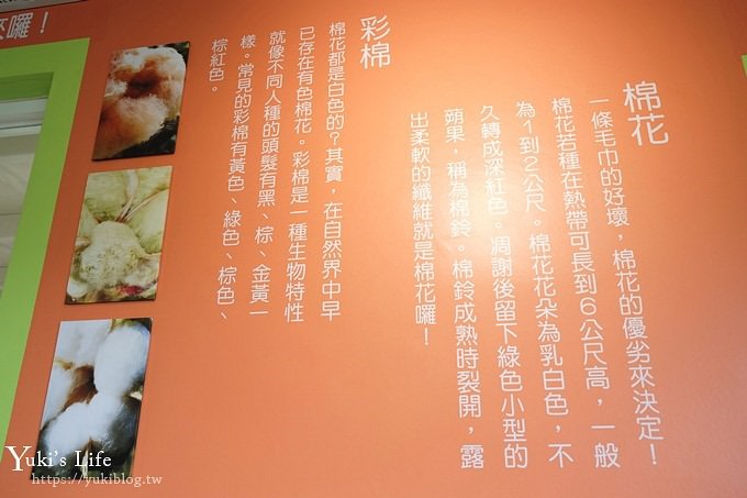 雲林景點【金鵬巾緻親子館】超大毛巾動物娃娃遊戲屋、室內兒童遊戲區溜滑梯 - yuki.tw