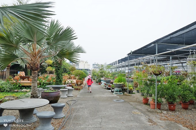 彰化親子免費景點【埔茂花市園藝咖啡】戶外花園大沙坑溜滑梯×採買花草多肉盆栽好去處 - yuki.tw