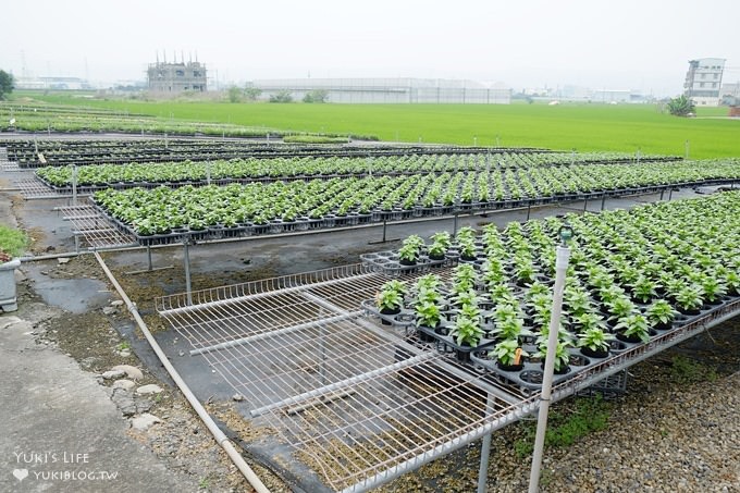 彰化親子免費景點【埔茂花市園藝咖啡】戶外花園大沙坑溜滑梯×採買花草多肉盆栽好去處 - yuki.tw