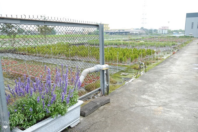 彰化親子免費景點【埔茂花市園藝咖啡】戶外花園大沙坑溜滑梯×採買花草多肉盆栽好去處 - yuki.tw