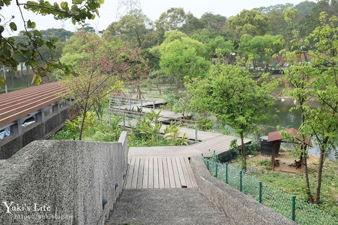 桃園景點【長庚養生文化村】粉紅隧道大沙坑 親子景點 賞櫻木棧道(野餐、室內游泳池親子景點) - yuki.tw