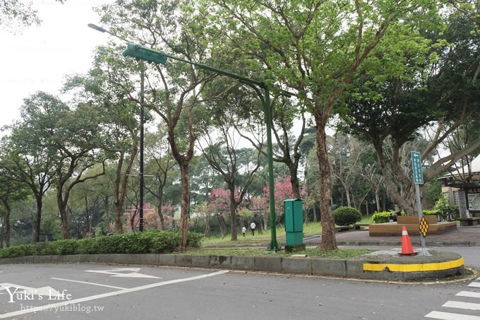 桃園景點【長庚養生文化村】粉紅隧道大沙坑 親子景點 賞櫻木棧道(野餐、室內游泳池親子景點) - yuki.tw