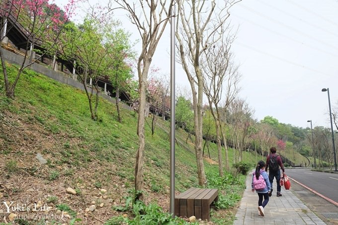 桃園景點【長庚養生文化村】粉紅隧道大沙坑 親子景點 賞櫻木棧道(野餐、室內游泳池親子景點) - yuki.tw