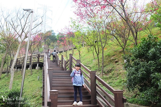 桃園景點【長庚養生文化村】粉紅隧道大沙坑 親子景點 賞櫻木棧道(野餐、室內游泳池親子景點) - yuki.tw