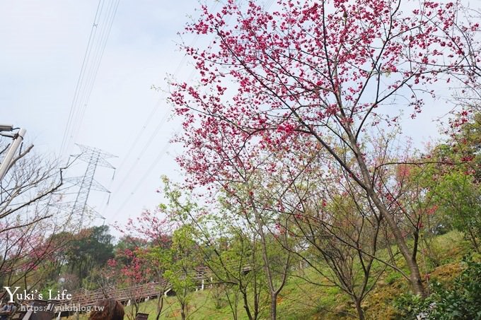 桃園景點【長庚養生文化村】粉紅隧道大沙坑 親子景點 賞櫻木棧道(野餐、室內游泳池親子景點) - yuki.tw