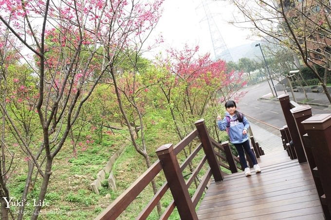 桃園景點【長庚養生文化村】粉紅隧道大沙坑 親子景點 賞櫻木棧道(野餐、室內游泳池親子景點) - yuki.tw