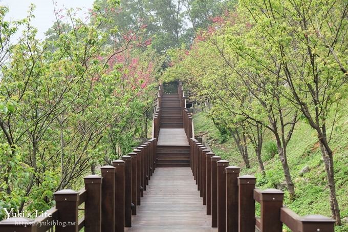 桃園景點【長庚養生文化村】粉紅隧道大沙坑 親子景點 賞櫻木棧道(野餐、室內游泳池親子景點) - yuki.tw