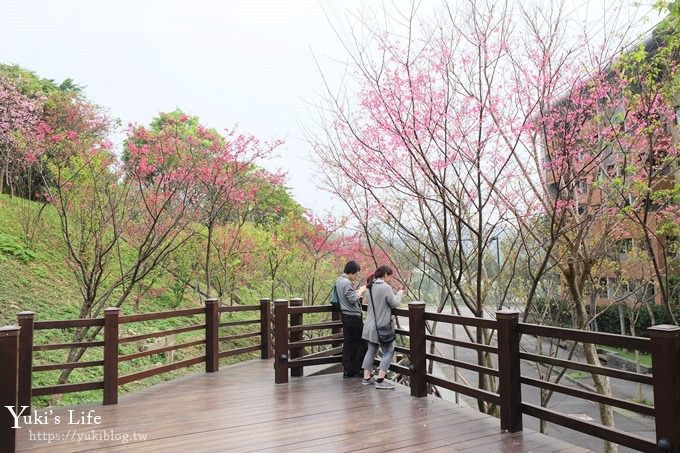 桃園景點【長庚養生文化村】粉紅隧道大沙坑 親子景點 賞櫻木棧道(野餐、室內游泳池親子景點) - yuki.tw