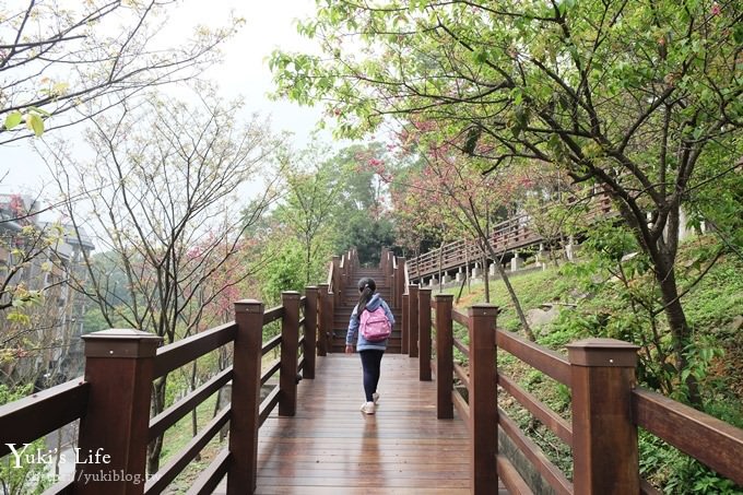 桃園景點【長庚養生文化村】粉紅隧道大沙坑 親子景點 賞櫻木棧道(野餐、室內游泳池親子景點) - yuki.tw