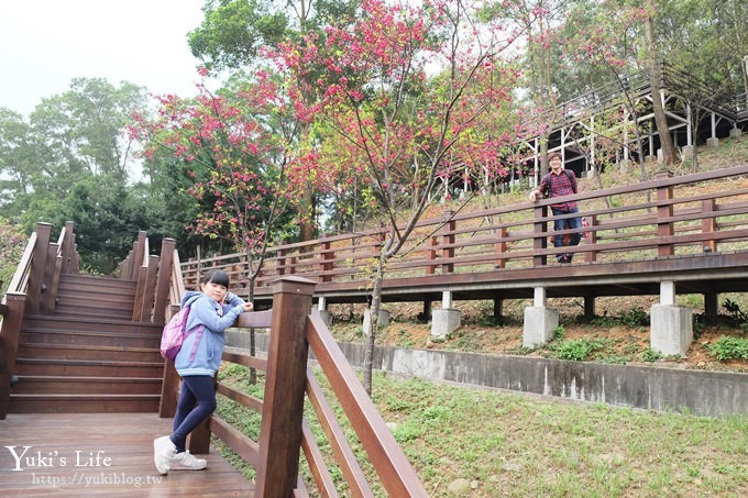 桃園景點【長庚養生文化村】粉紅隧道大沙坑 親子景點 賞櫻木棧道(野餐、室內游泳池親子景點) - yuki.tw