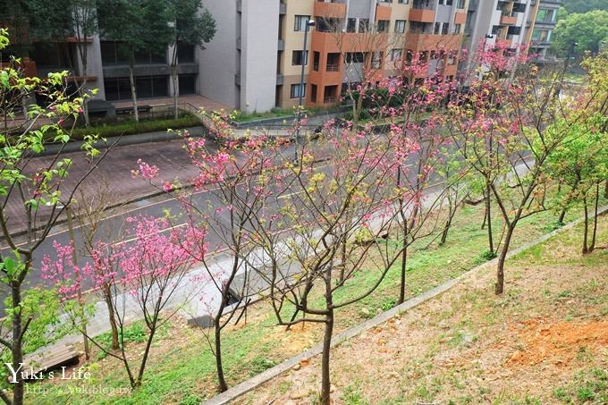 桃園景點【長庚養生文化村】粉紅隧道大沙坑 親子景點 賞櫻木棧道(野餐、室內游泳池親子景點) - yuki.tw