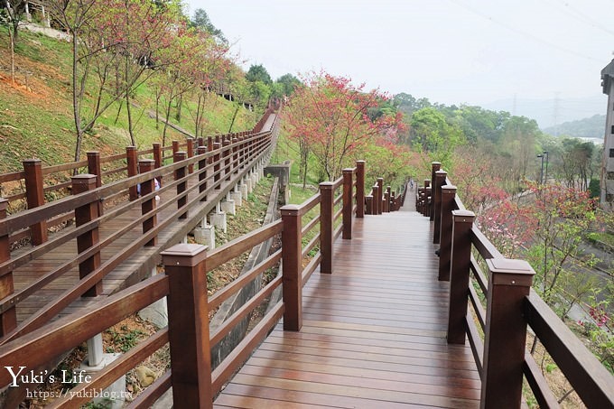 桃園景點【長庚養生文化村】粉紅隧道大沙坑 親子景點 賞櫻木棧道(野餐、室內游泳池親子景點) - yuki.tw