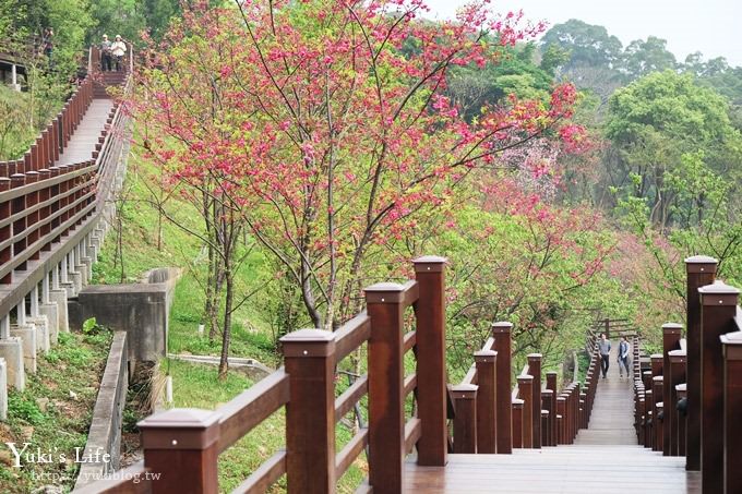 桃園景點【長庚養生文化村】粉紅隧道大沙坑 親子景點 賞櫻木棧道(野餐、室內游泳池親子景點) - yuki.tw