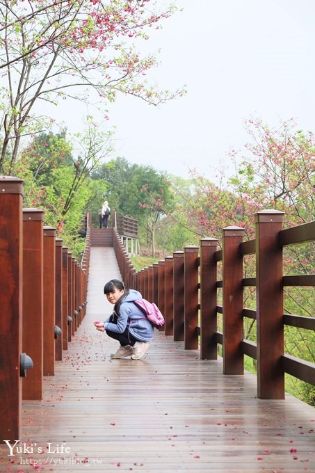 桃園景點【長庚養生文化村】粉紅隧道大沙坑 親子景點 賞櫻木棧道(野餐、室內游泳池親子景點) - yuki.tw