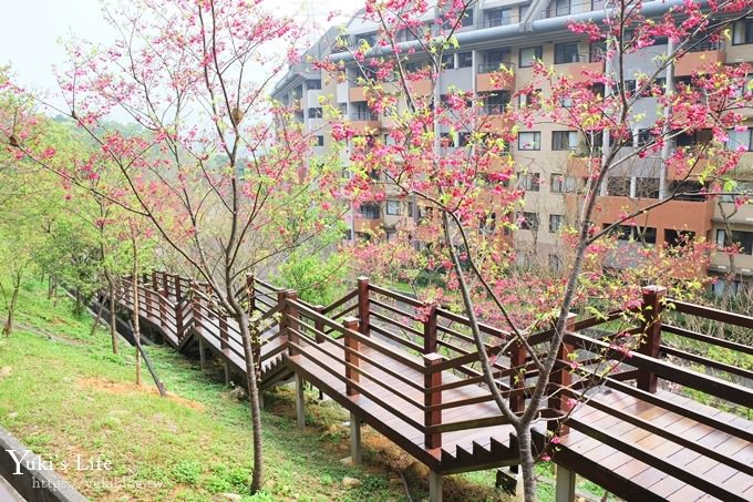 桃園景點【長庚養生文化村】粉紅隧道大沙坑 親子景點 賞櫻木棧道(野餐、室內游泳池親子景點) - yuki.tw