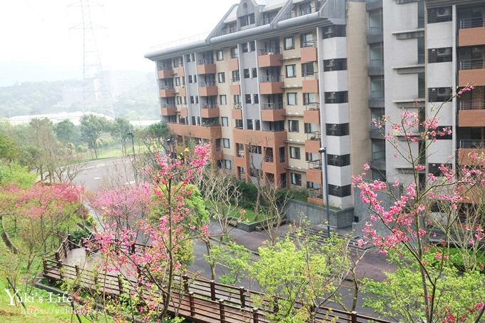 桃園景點【長庚養生文化村】粉紅隧道大沙坑 親子景點 賞櫻木棧道(野餐、室內游泳池親子景點) - yuki.tw