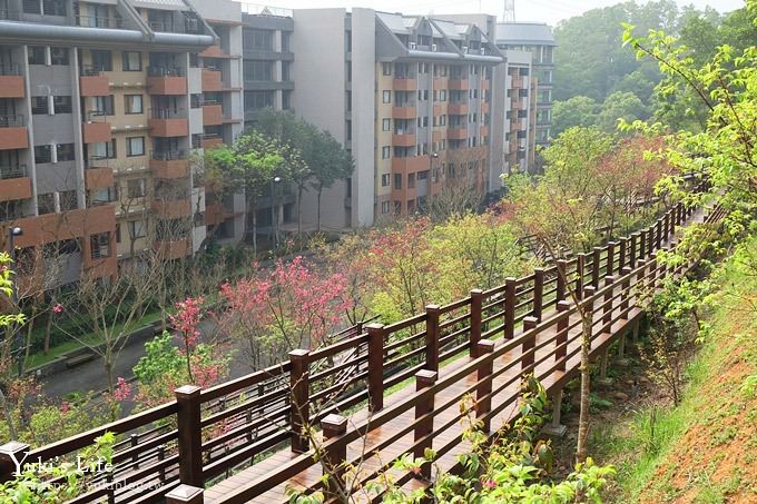 桃園景點【長庚養生文化村】粉紅隧道大沙坑 親子景點 賞櫻木棧道(野餐、室內游泳池親子景點) - yuki.tw