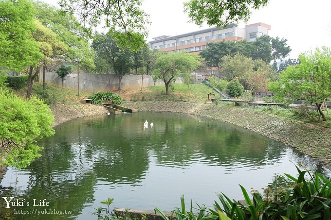 桃園景點【長庚養生文化村】粉紅隧道大沙坑 親子景點 賞櫻木棧道(野餐、室內游泳池親子景點) - yuki.tw