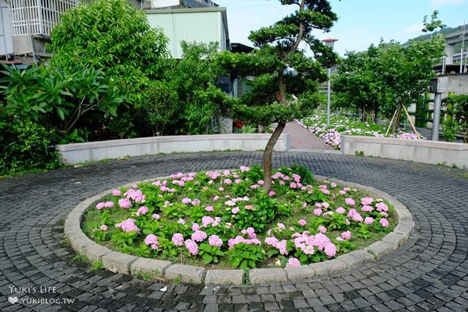 新北泰山秘境【黎明步道花園】繡球花盛開×在地專屬浪漫繽紛拍照小景點(交通／路線／怎麼去) - yuki.tw