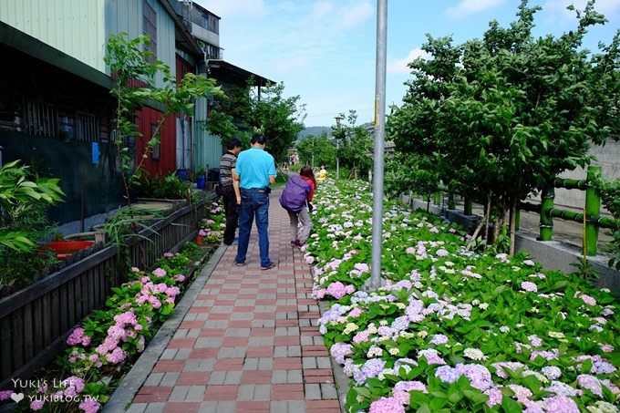 新北泰山秘境【黎明步道花園】繡球花盛開×在地專屬浪漫繽紛拍照小景點(交通／路線／怎麼去) - yuki.tw