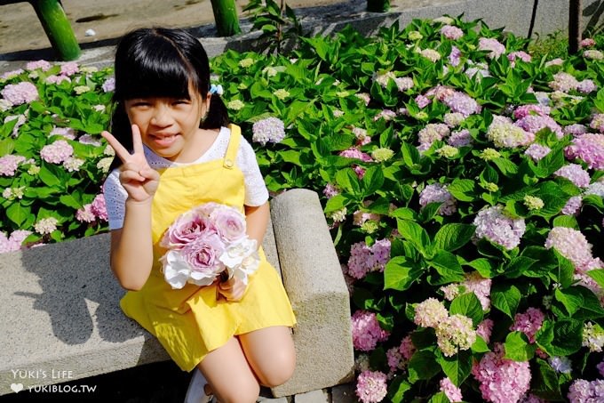 新北泰山秘境【黎明步道花園】繡球花盛開×在地專屬浪漫繽紛拍照小景點(交通／路線／怎麼去) - yuki.tw