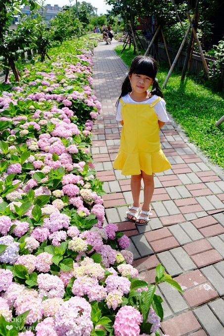 新北泰山秘境【黎明步道花園】繡球花盛開×在地專屬浪漫繽紛拍照小景點(交通／路線／怎麼去) - yuki.tw