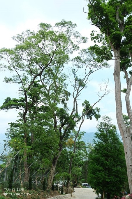 苗栗景點【Sud Vista 蘇維拉莊園】南庄親子 童話屋森林景觀餐廳×兒童玩沙池 - yuki.tw