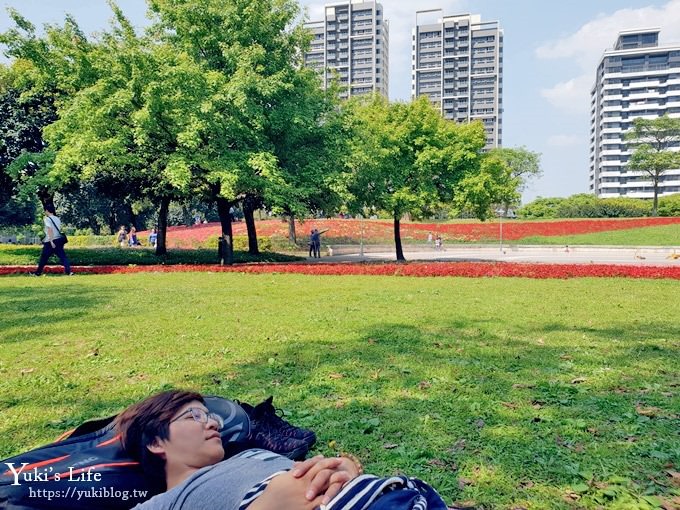 桃園景點【大溪埔頂公園】花海大草皮×親子景點 溜滑梯野餐好去處！(交通玩法攻略圖) - yuki.tw