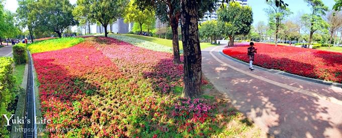 桃園景點【大溪埔頂公園】花海大草皮×親子景點 溜滑梯野餐好去處！(交通玩法攻略圖) - yuki.tw