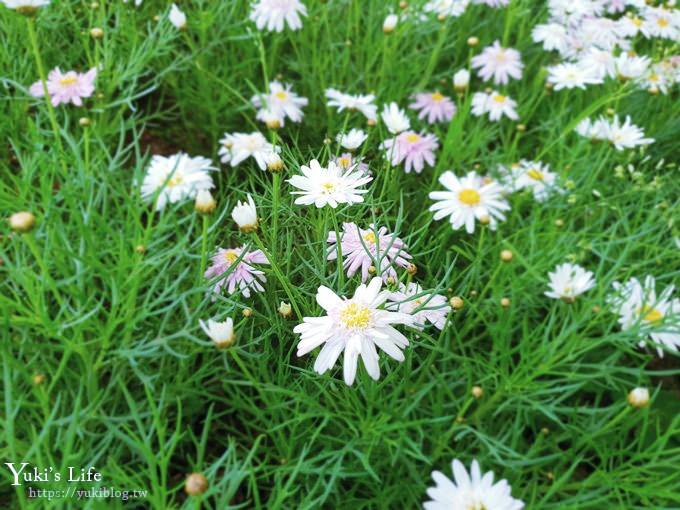 桃園景點【大溪埔頂公園】花海大草皮×親子景點 溜滑梯野餐好去處！(交通玩法攻略圖) - yuki.tw