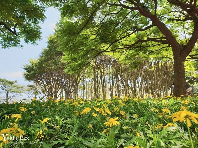 桃園景點【大溪埔頂公園】花海大草皮×親子景點 溜滑梯野餐好去處！(交通玩法攻略圖) - yuki.tw