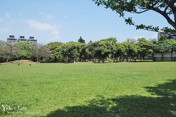 桃園景點【大溪埔頂公園】花海大草皮×親子景點 溜滑梯野餐好去處！(交通玩法攻略圖) - yuki.tw