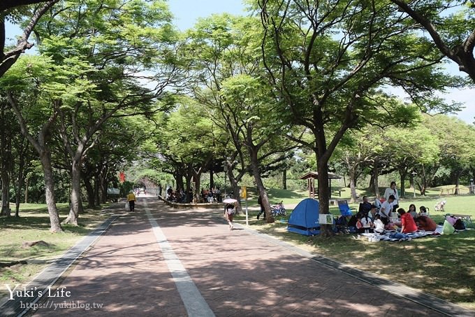 桃園景點【大溪埔頂公園】花海大草皮×親子景點 溜滑梯野餐好去處！(交通玩法攻略圖) - yuki.tw